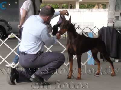 Clique sobre a foto para fechar